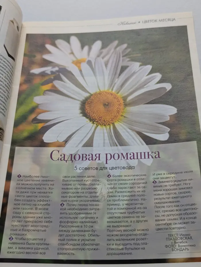 Цветок. Выпуск № 13/2012