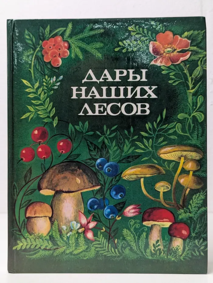 Дары наших лесов