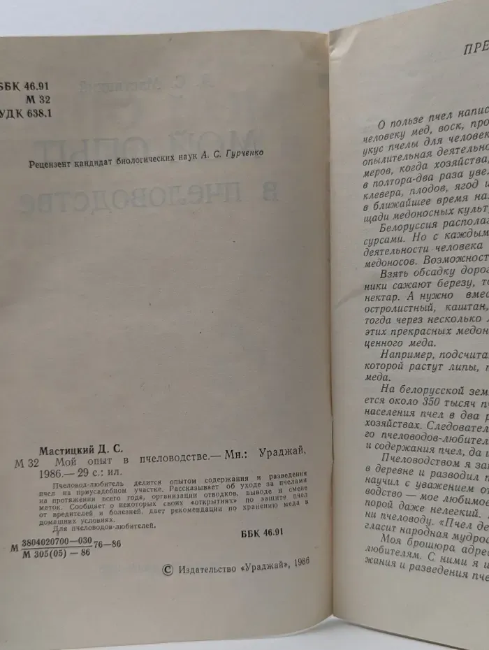 Мой опыт в пчеловодстве