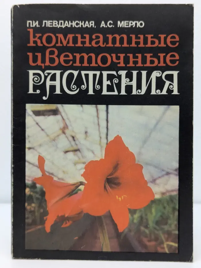 Комнатные цветочные растения»