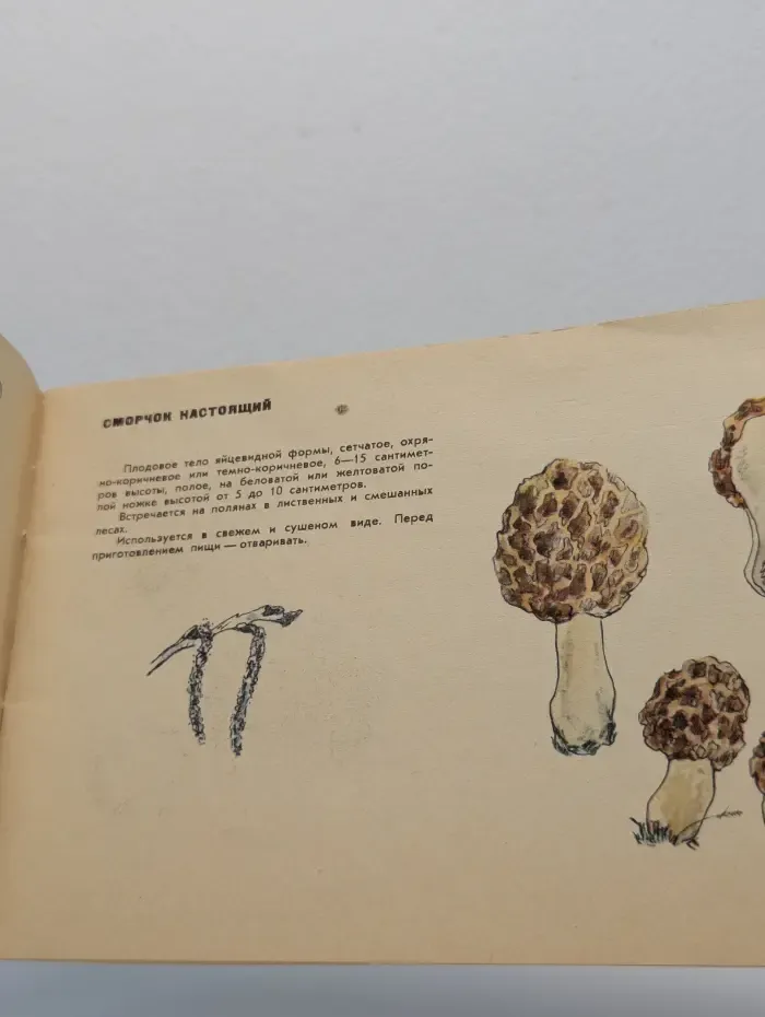 Справочник грибника