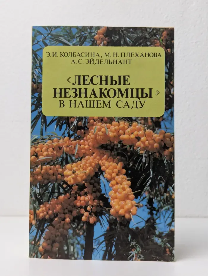 Лесные незнакомцы в нашем саду