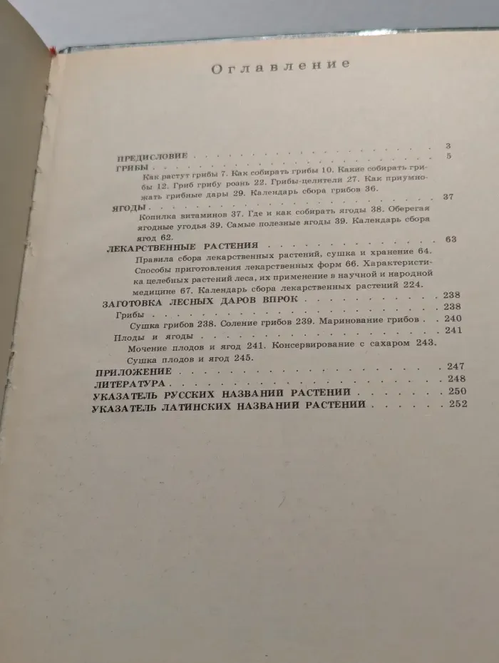 Дары наших лесов