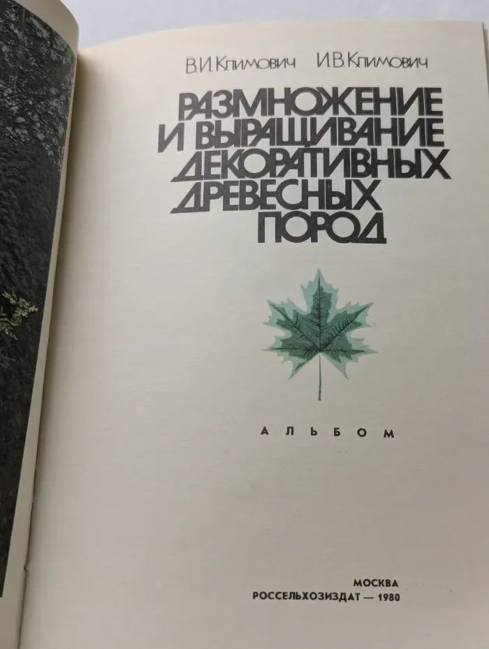 Размножение и выращивание декоративных древесных пород