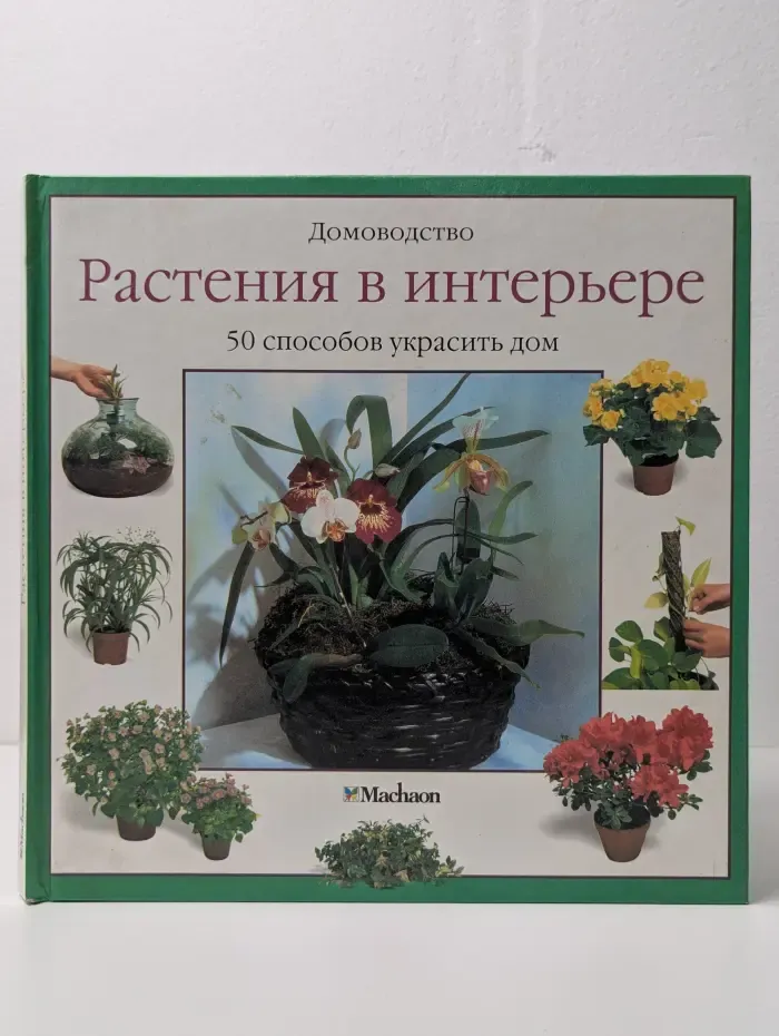Домоводство. Растения в интерьере. 50 способов украсить дом