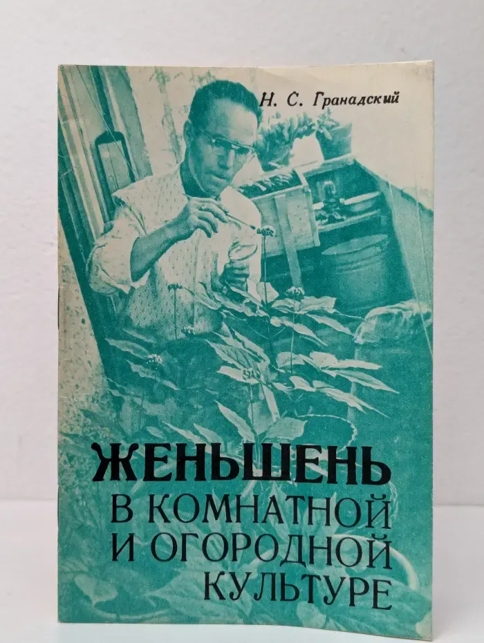 Женьшень в комнатной и огородной культуре