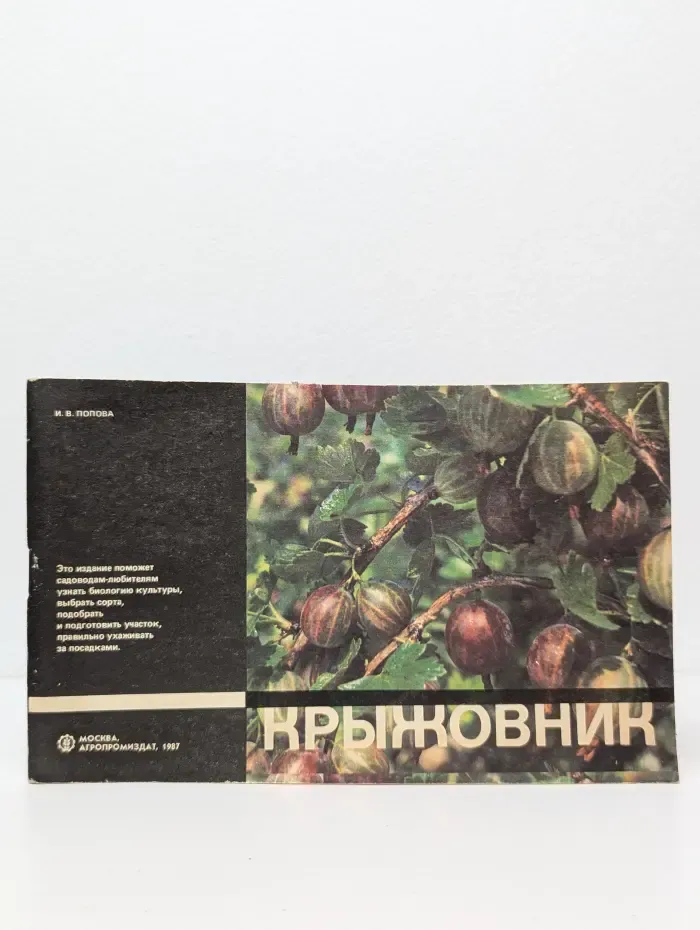 Крыжовник
