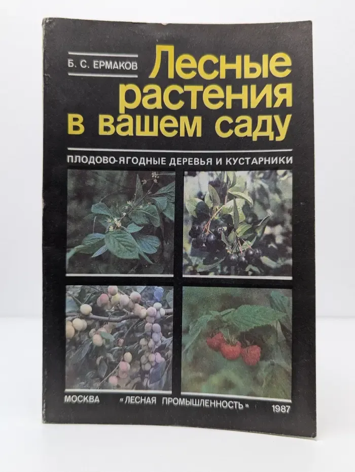 Лесные растения в вашем саду