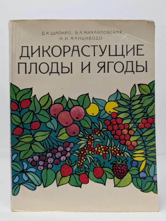 Дикорастущие плоды и ягоды