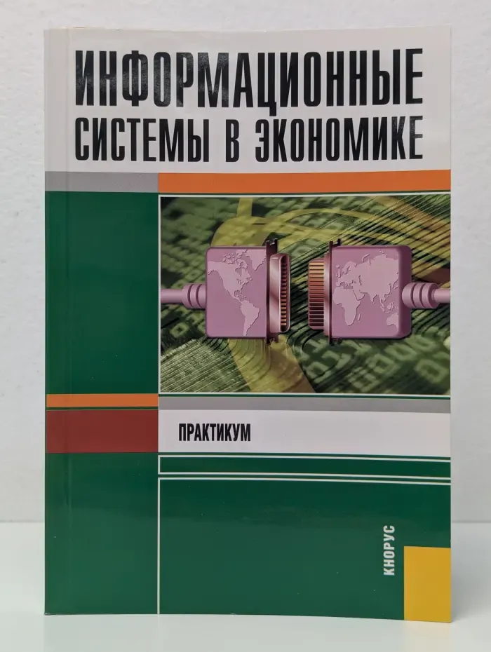 Информационные системы в экономике. Практикум