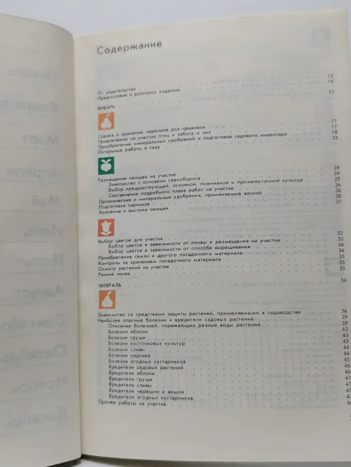 Год на садовом участке