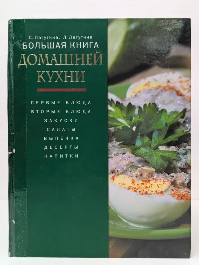 Большая книга домашней кухни