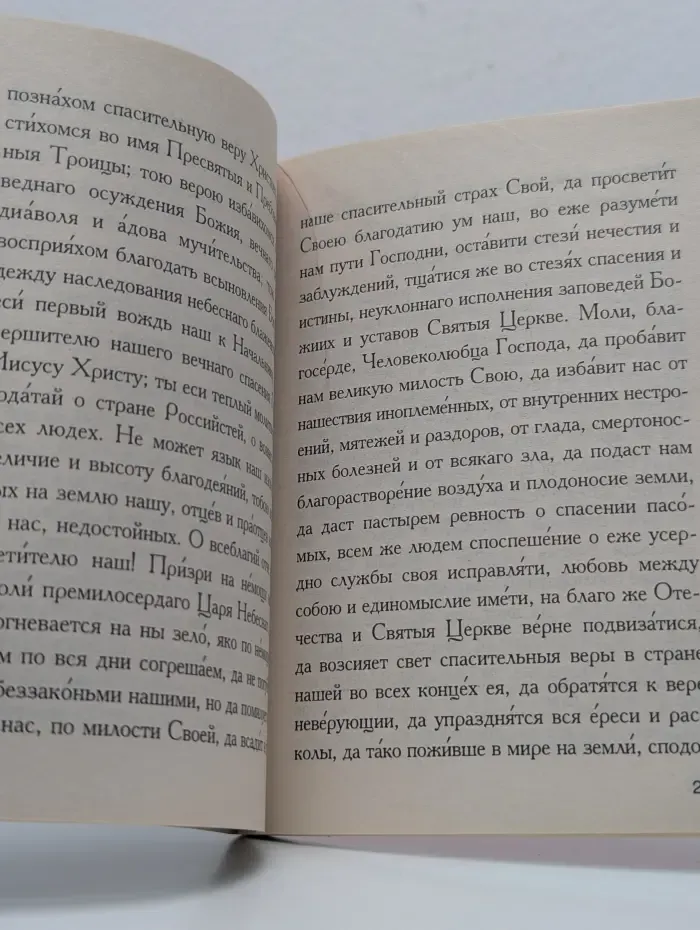 Святые равноапостольные Великий князь Владимир и Великая княгиня Ольга. Жития. Акафисты. Чудеса