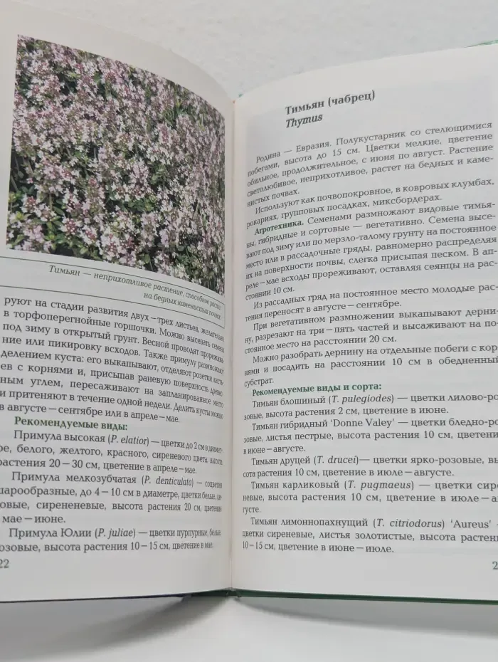 Ваш плодородный сад и огород. Рассада. Выращиваем без проблем