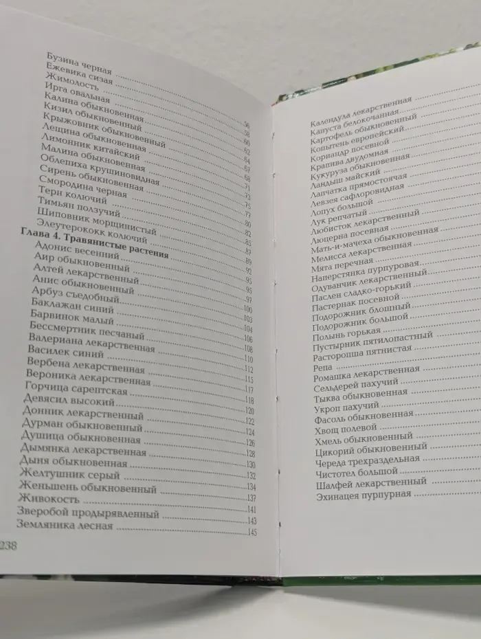 Ваш плодородный сад и огород. Лекарственные растения