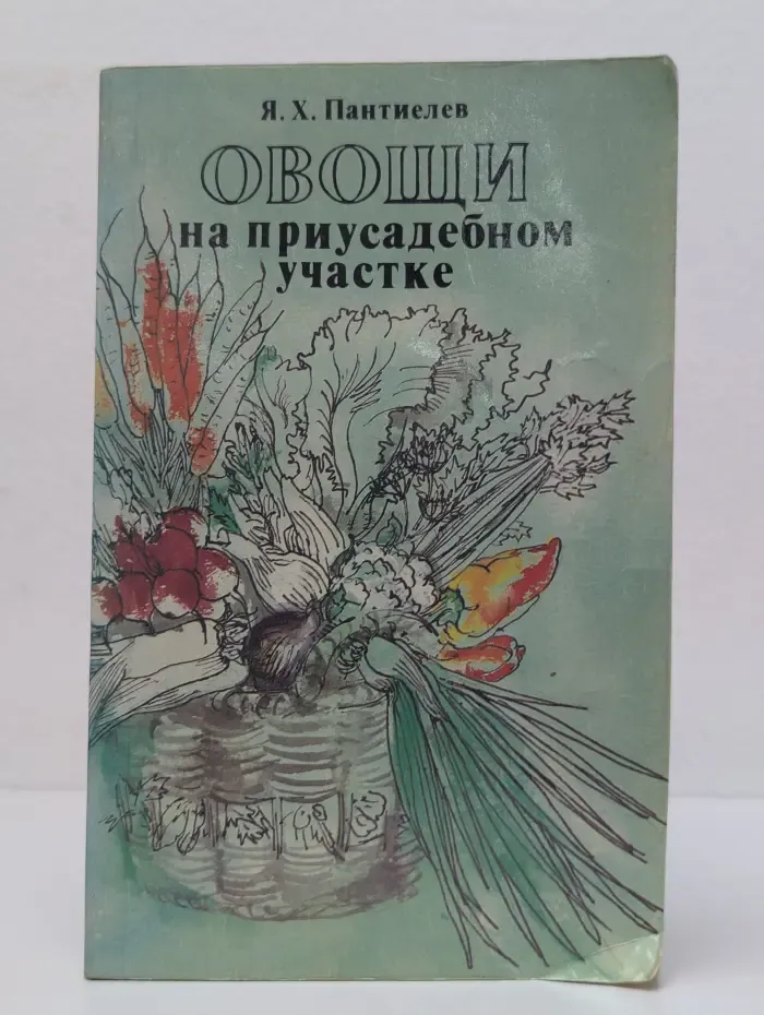 Овощи на приусадебном участке