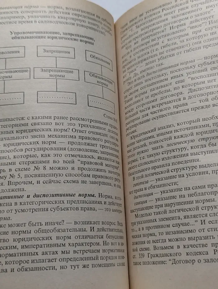 Государство и право. Начальный курс