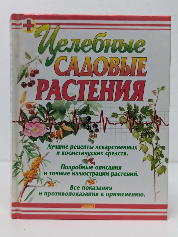 Целебные садовые растения