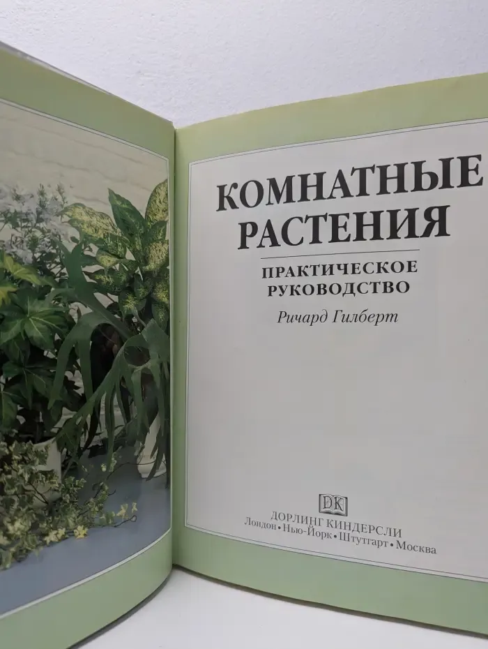 Комнатные растения