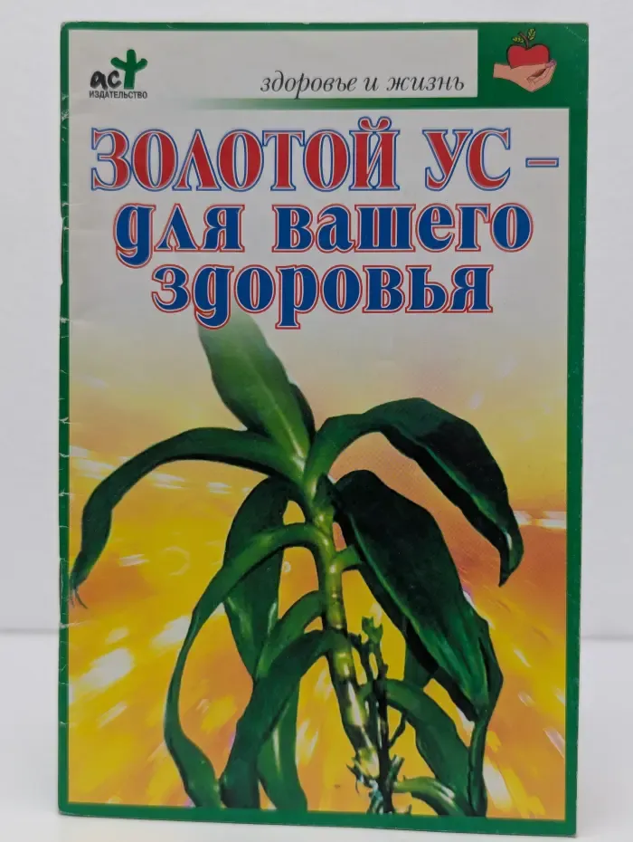 Золотой ус - для вашего здоровья