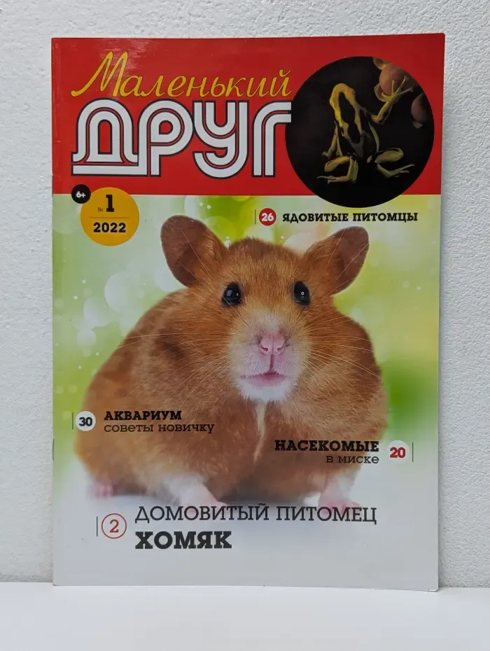 Маленький друг. Выпуск № 1/2022