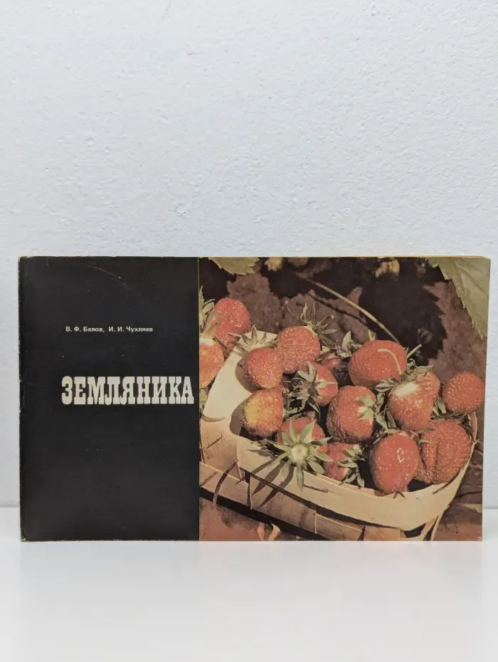Земляника