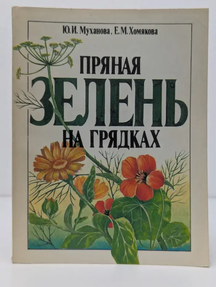 Пряная зелень на грядках