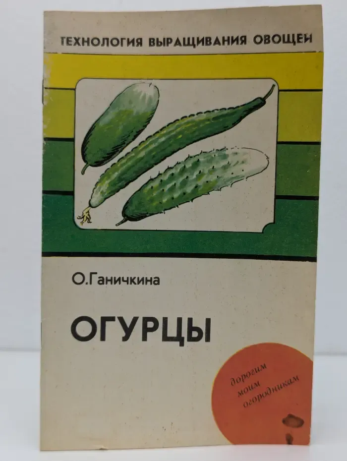 Технология выращивания овощей. Огурцы