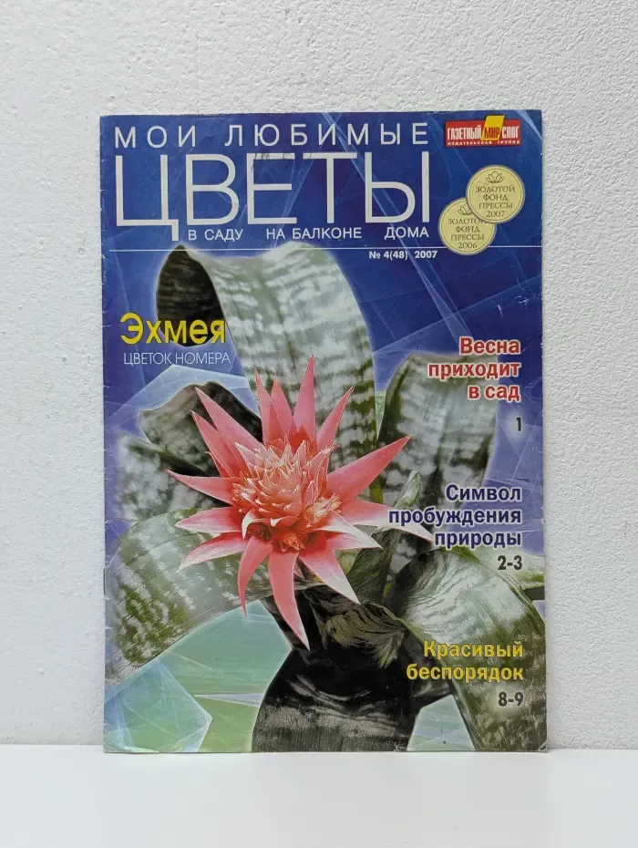Мои любимые цветы