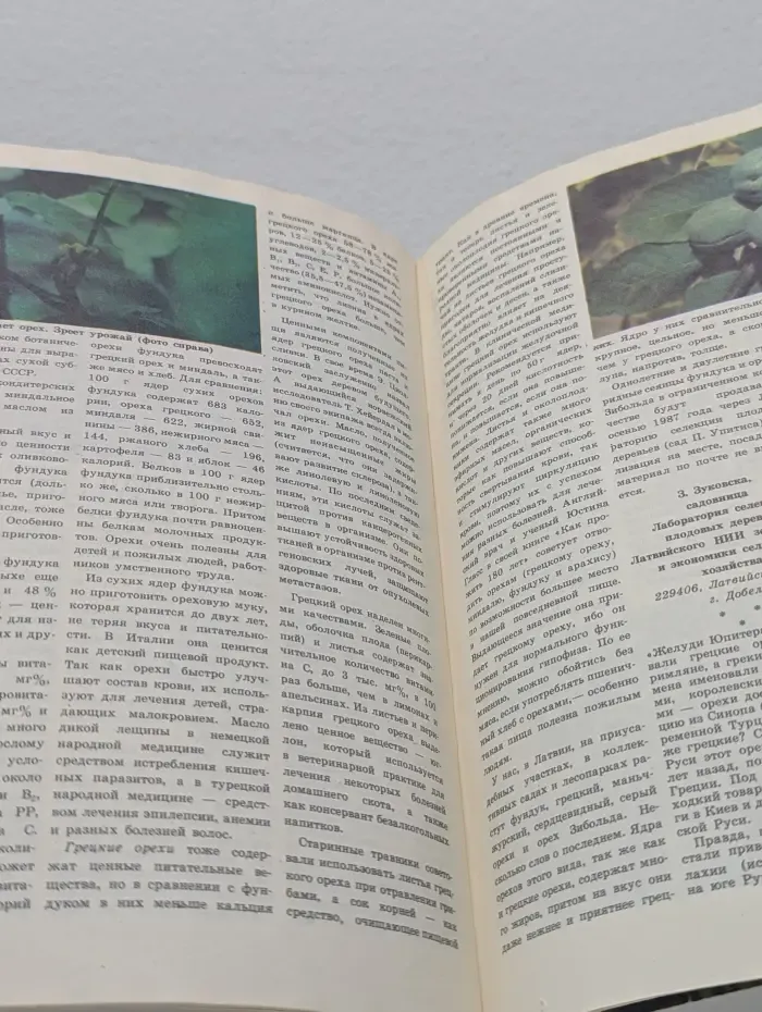 Приусадебное хозяйство. Выпуск № 5/1986