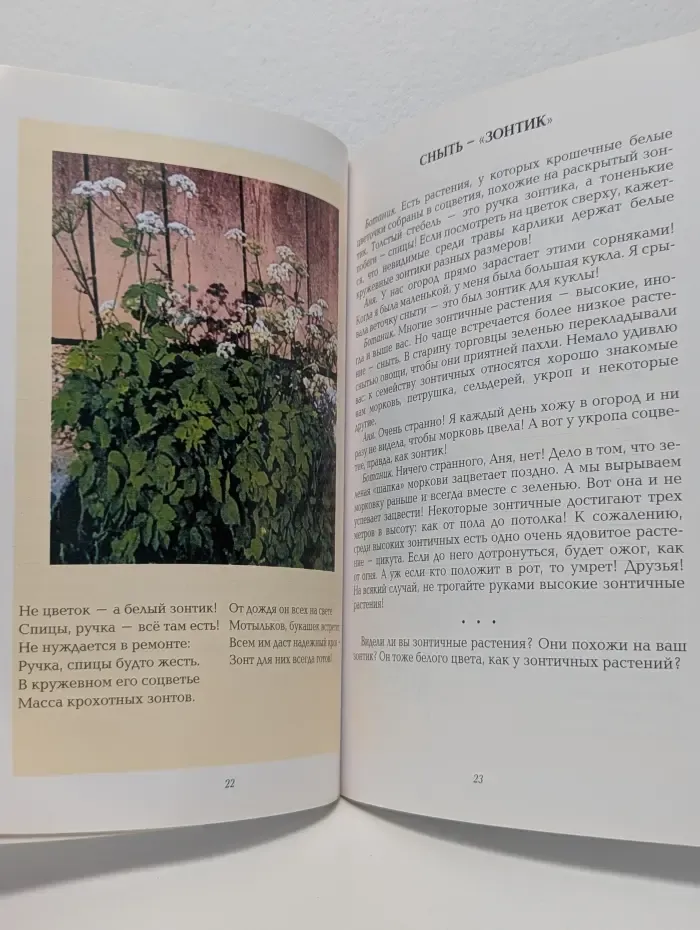 Здравствуйте, цветики-цветочки