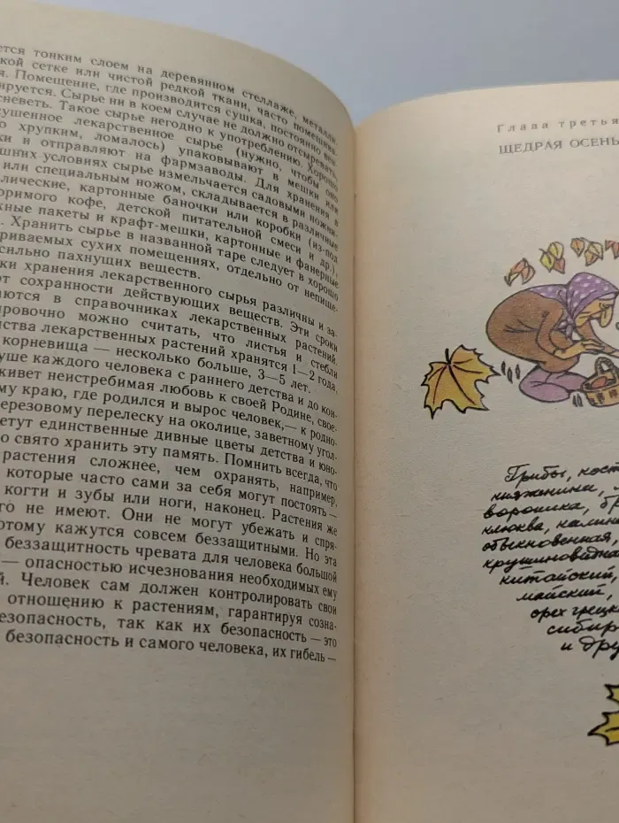 Эврика. Лесной огород