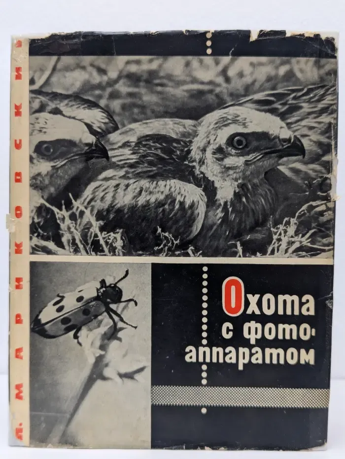 Охота с фотоаппаратом