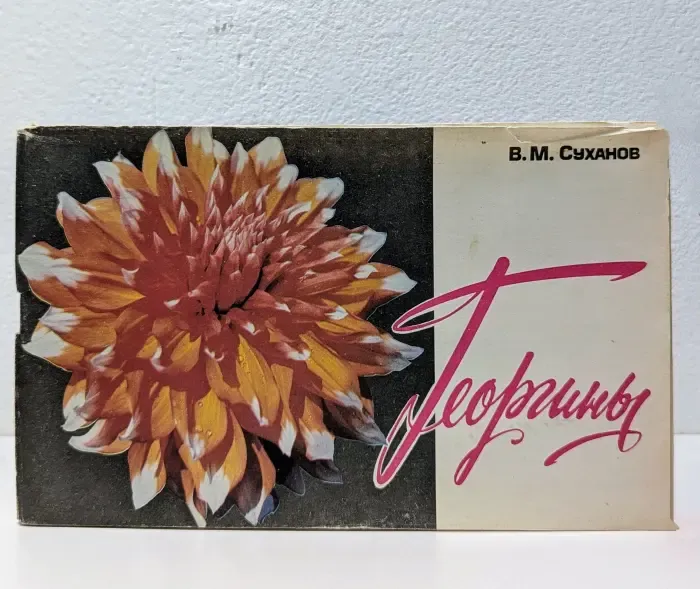 Георгины