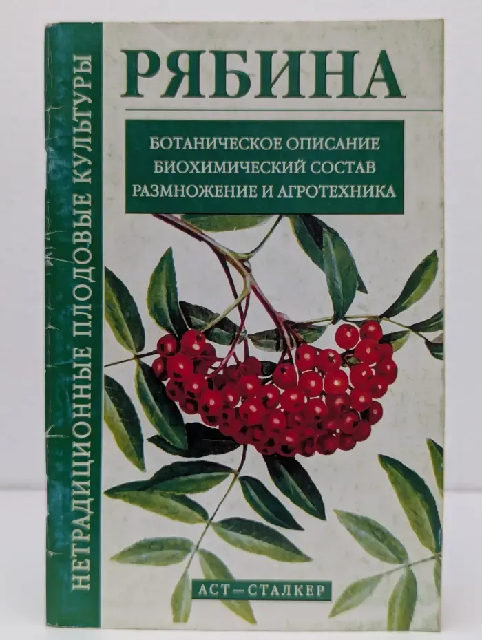 Нетрадиционные плодовые культуры. Рябина
