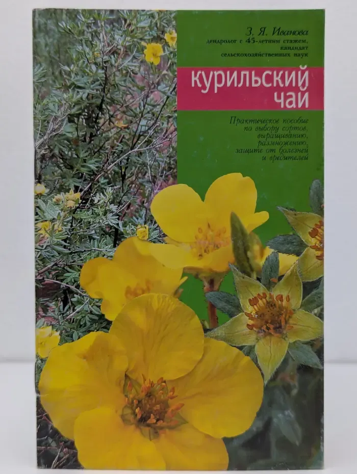 Курильский чай