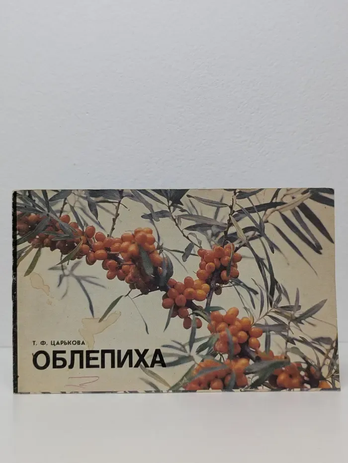 Облепиха