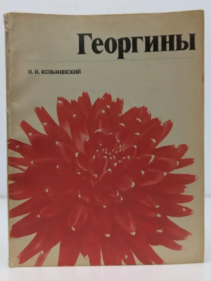 Георгины