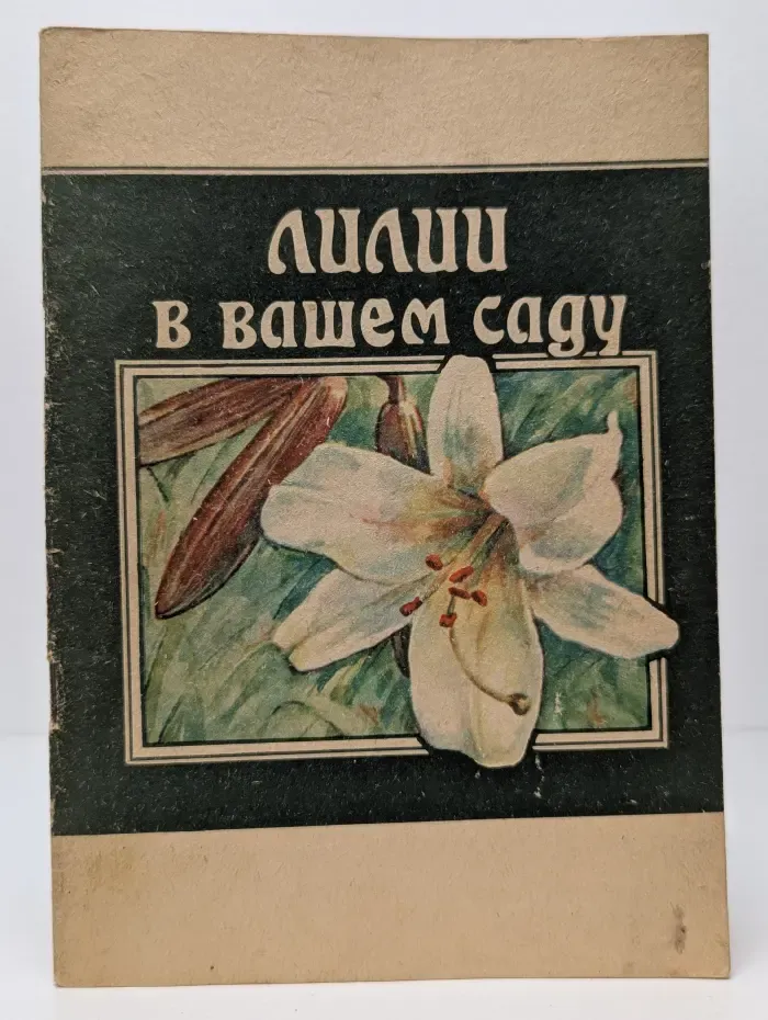 Лилии в вашем саду
