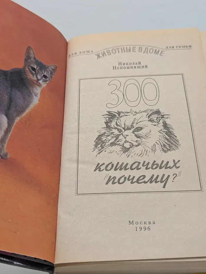 Для дома. Для семьи. Животные в доме. 300 кошачьих почему?