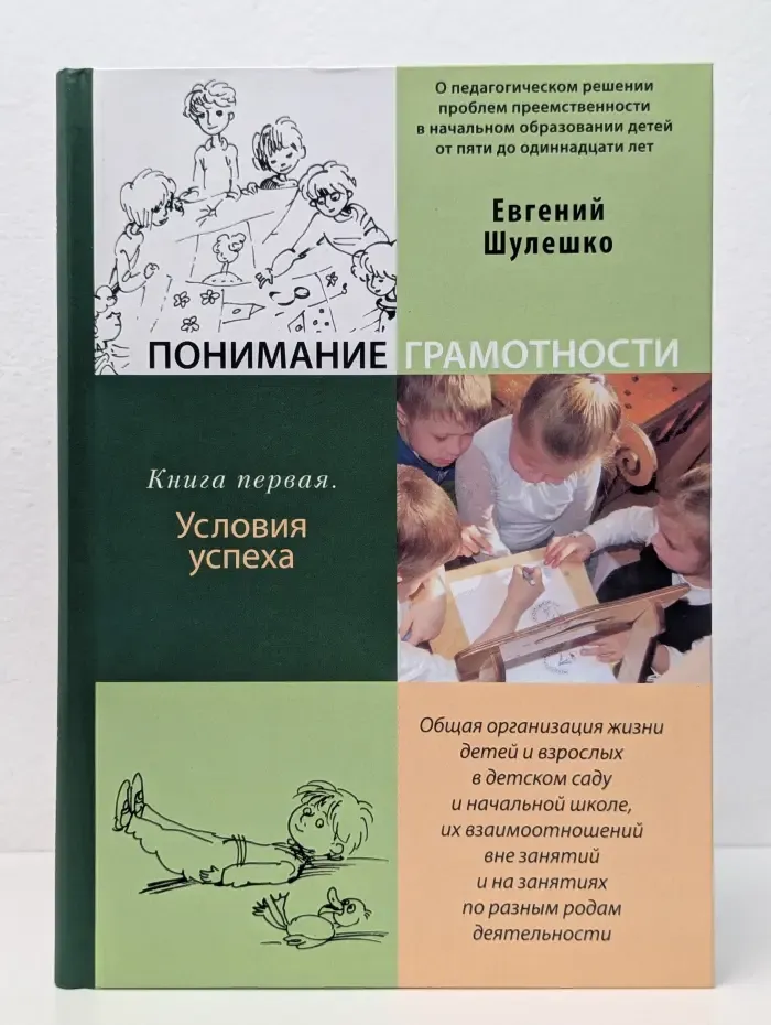 Понимание грамотности. Книга 1. Условия успеха