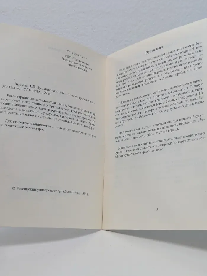Бухгалтерский учет на малом предприятии