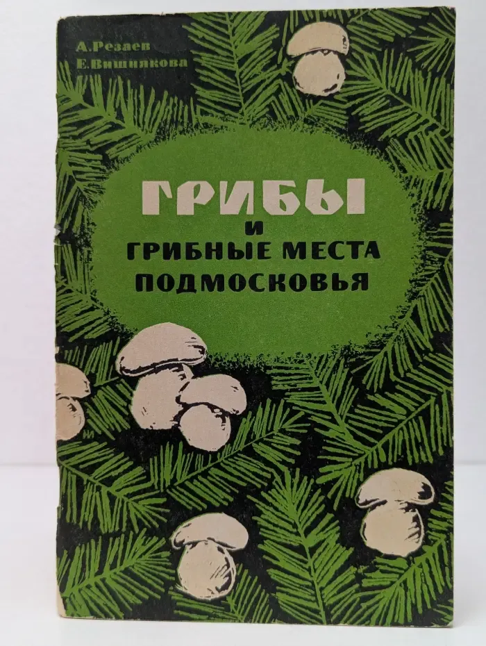 Грибы и грибные места подмосковья