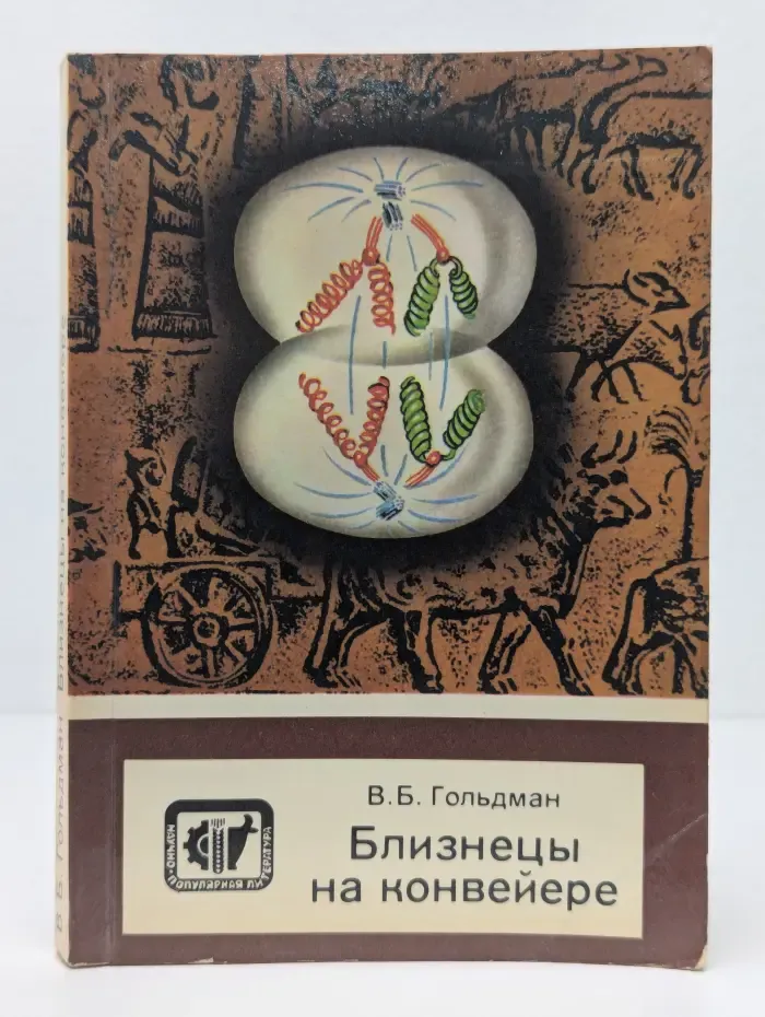 Близнецы на конвейере