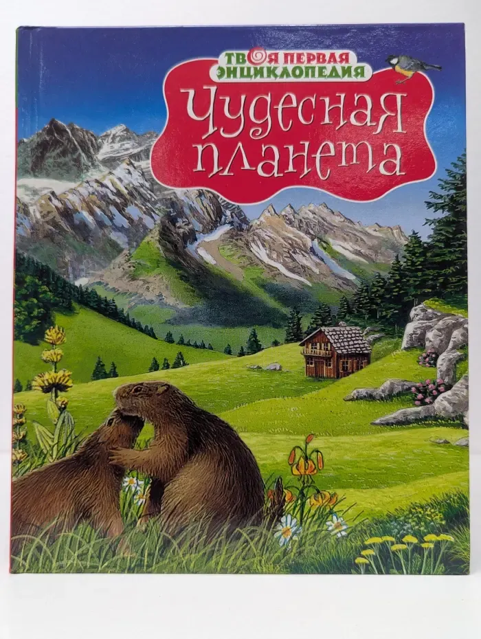 Твоя первая энциклопедия. Чудесная планета