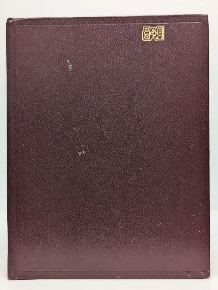 Большой русско-английский словарь