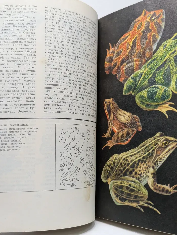 Жизнь животных. Том 4. Часть 2. Земноводные, пресмыкающиеся