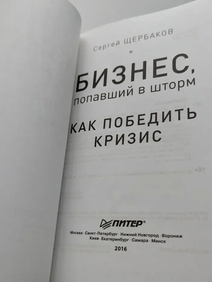 Деловой бестселлер. Бизнес, попавший в шторм. Как победить кризис