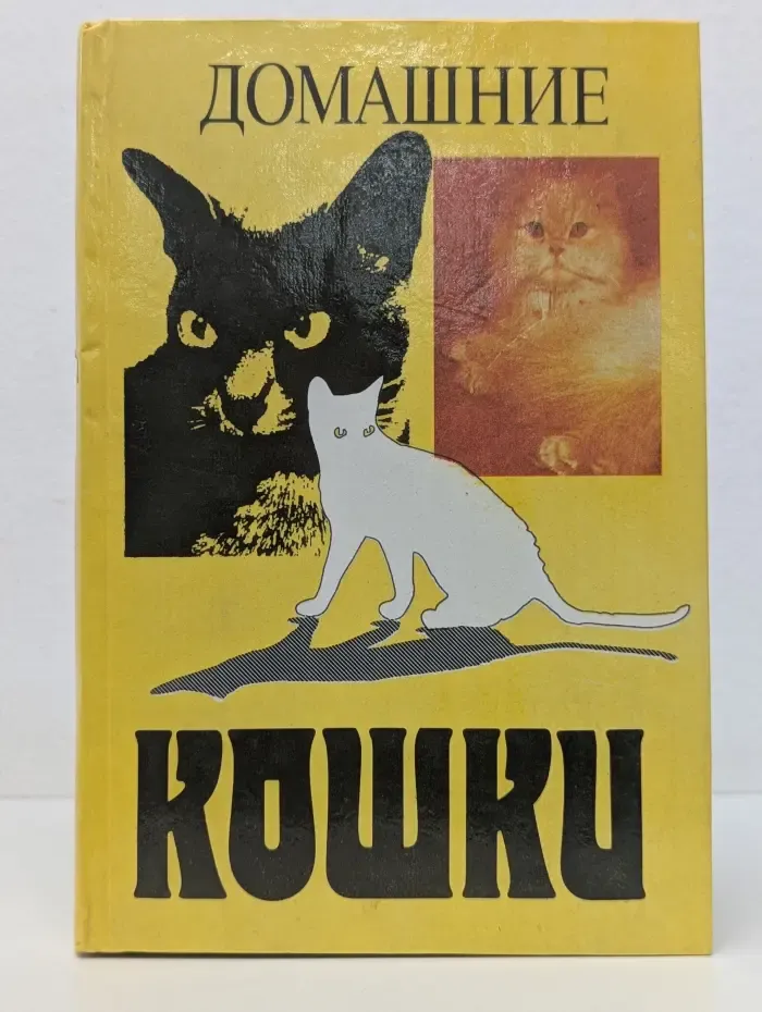 Домашние кошки