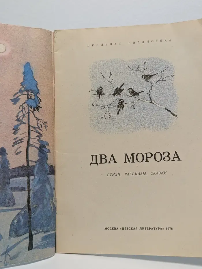 Школьная библиотека. Два мороза